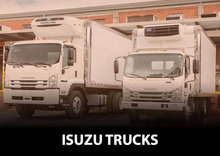 Isuzu Trucks